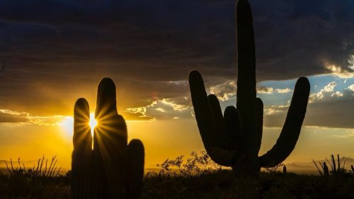 Photo post from visittucson.