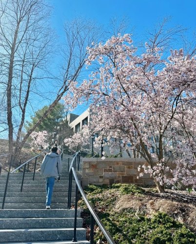 Photo post from bostoncollege.