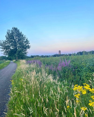 Photo post from visitoirschot.
