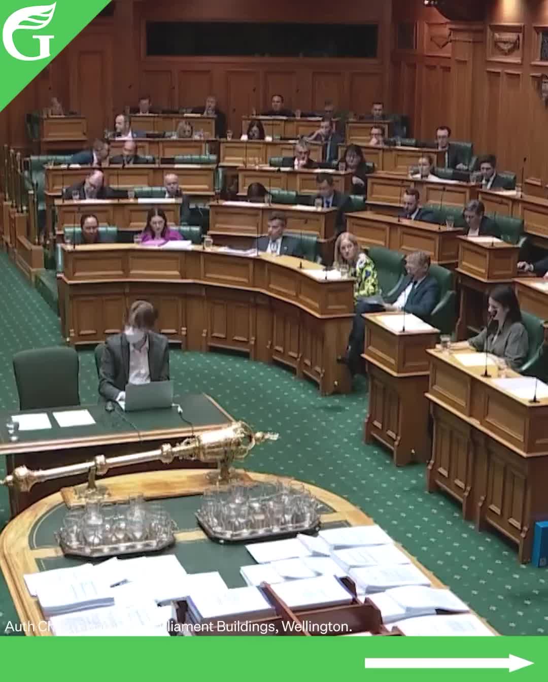 Carousel post from nzgreenparty.