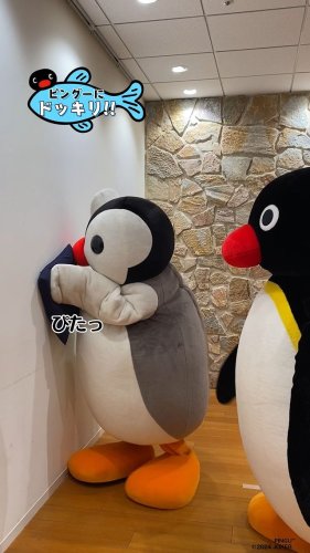 Video post from pingu_jp.