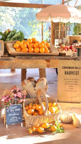 Video post from currumbinvalleyharvest.