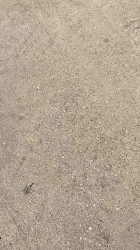 Video post from sincere.tha.car.plug.