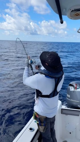 Video post from ejs_fishing_charters.