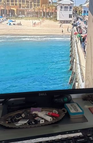 Video post from ejs_fishing_charters.