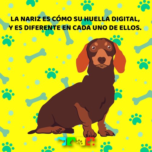 Photo post from medicalpettj.