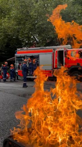 Video post from ff_stellingen.