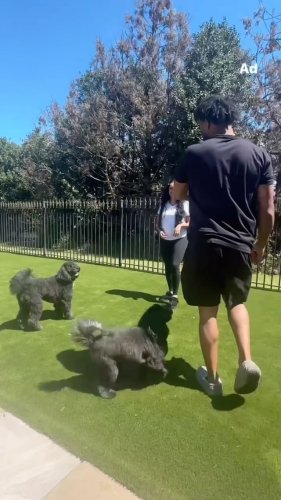 Video post from youngamechanger.
