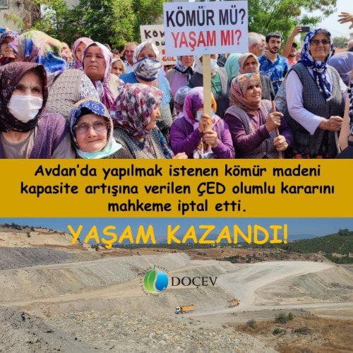 Photo post from dogavecevrevakfi.
