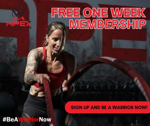 Photo post from apexwarriorfitness.