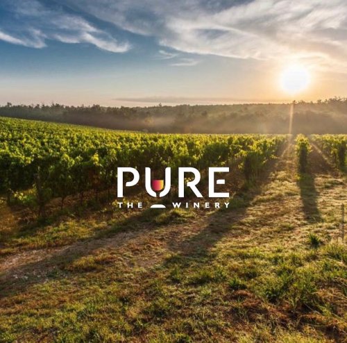 Photo post from purethewineryes.