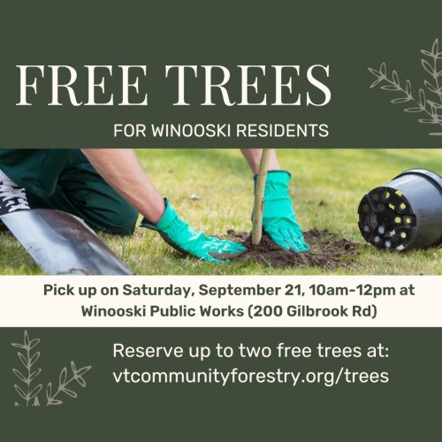 Photo post from winooskirec.