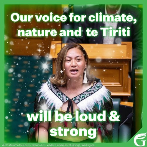 Carousel post from nzgreenparty.