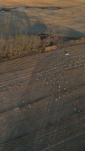 Video post from northernskiesoutfitters.