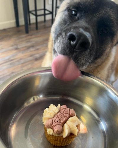 Photo post from smallcakestyler.