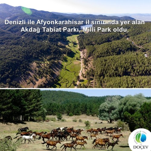 Photo post from dogavecevrevakfi.