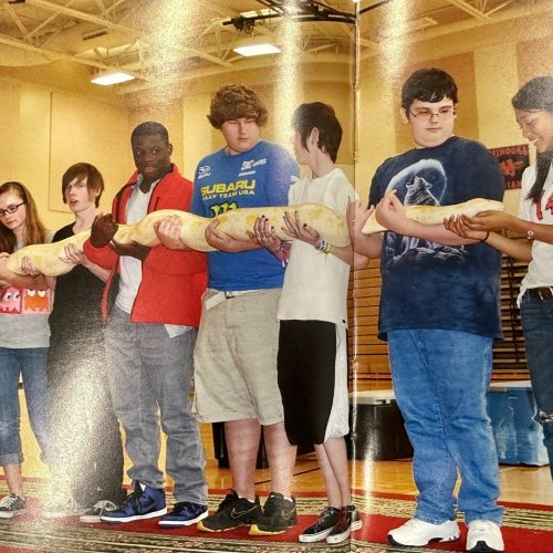 Photo post from mchsdistrict111.