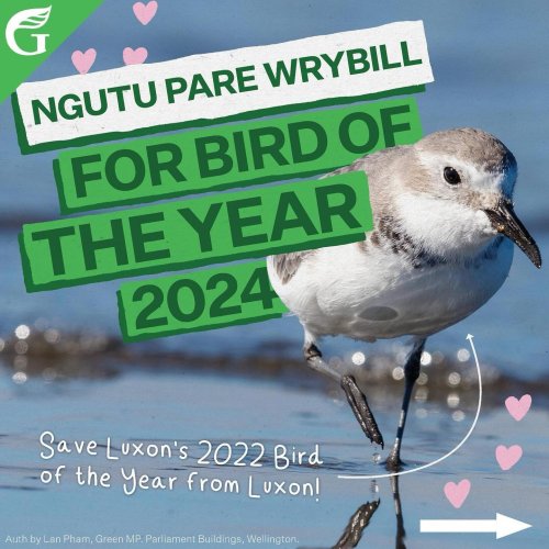 Carousel post from nzgreenparty.