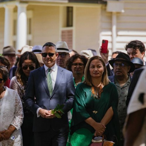 Carousel post from nzgreenparty.