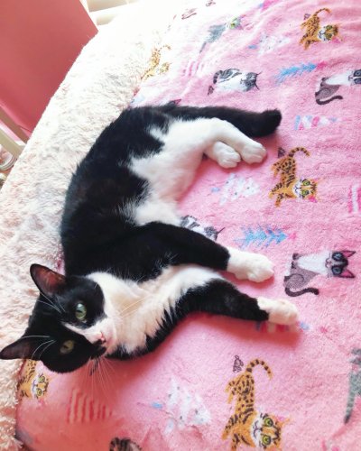 Carousel post from margaritabloom.