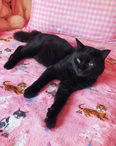 Carousel post from margaritabloom.