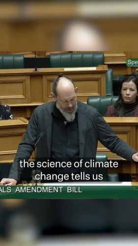 Video post from nzgreenparty.