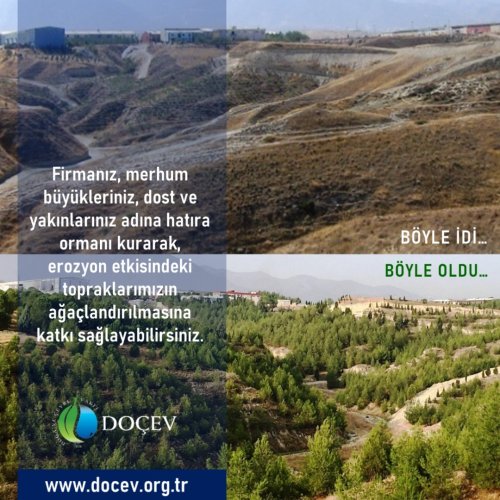 Photo post from dogavecevrevakfi.