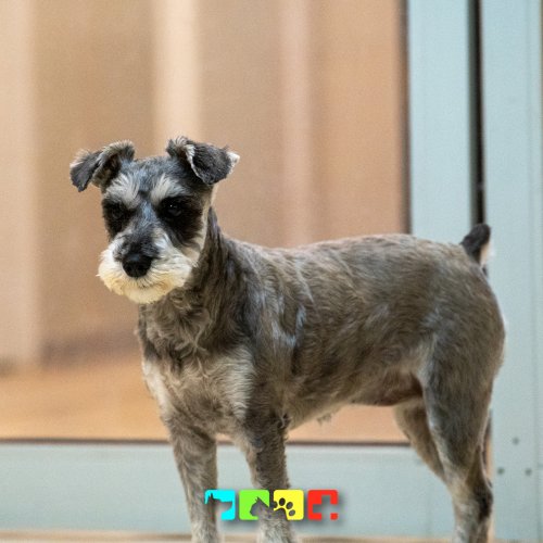 Photo post from medicalpettj.