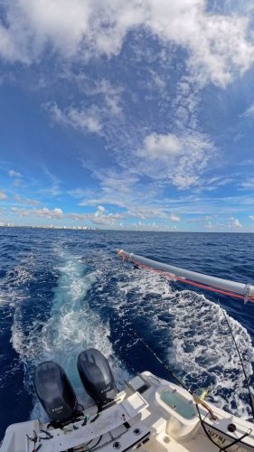 Video post from ejs_fishing_charters.