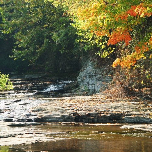 Photo post from visit_campbellsville.