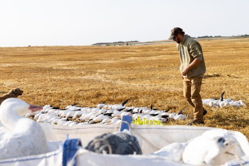 Photo post from northernskiesoutfitters.