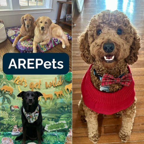 Carousel post from american_re_partners.