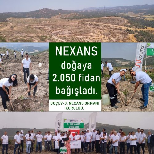 Photo post from dogavecevrevakfi.