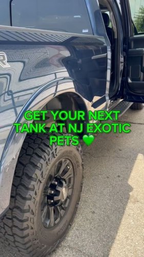 Video post from njexoticpets.