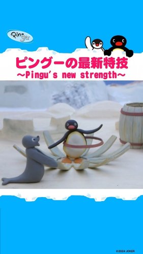 Video post from pingu_jp.