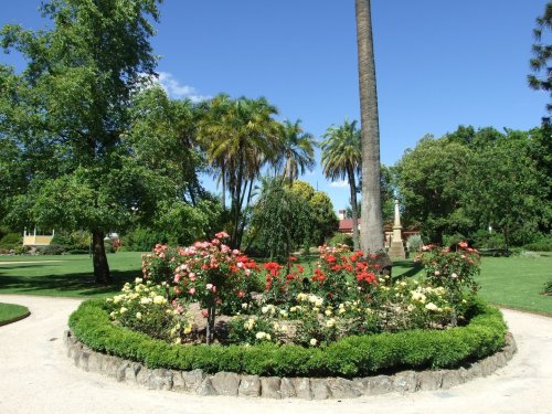 Photo post from alburycity.