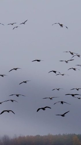 Video post from northernskiesoutfitters.