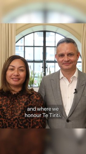 Video post from nzgreenparty.