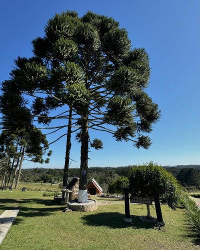 Carousel post from imobiliariammocelin.