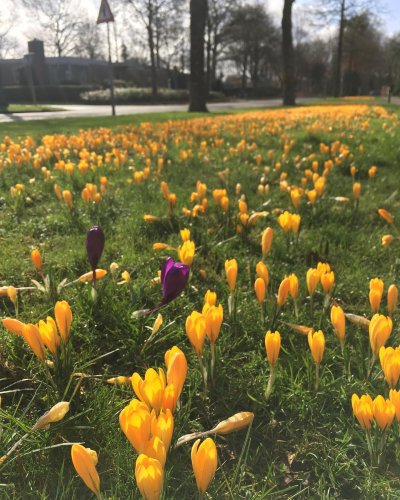 Photo post from visitoirschot.