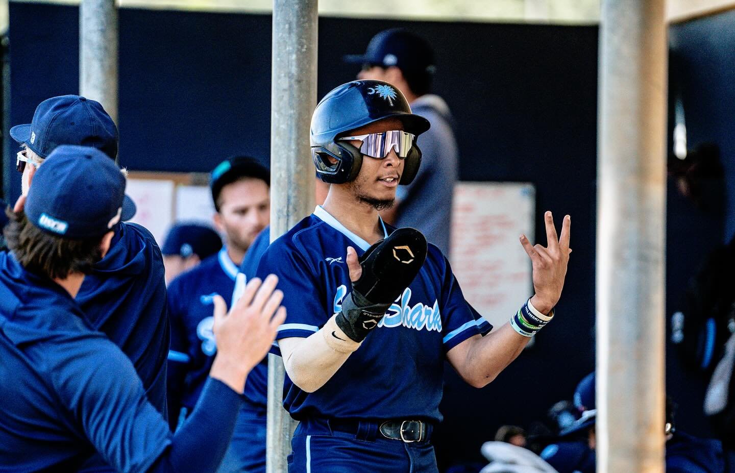 Photo post from uscbsandsharks.