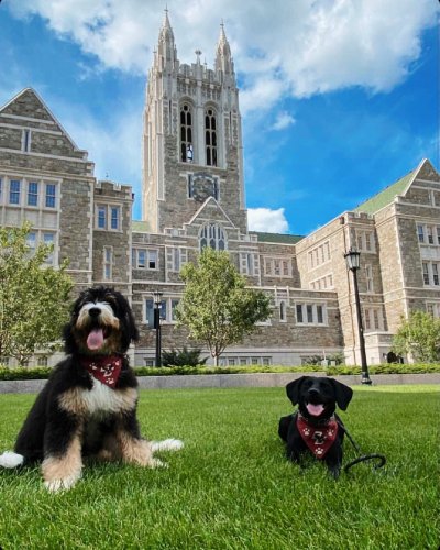 Photo post from bostoncollege.