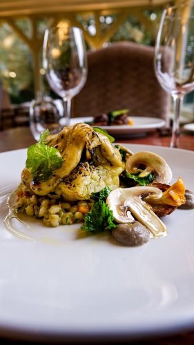 Video post from themoathouse.