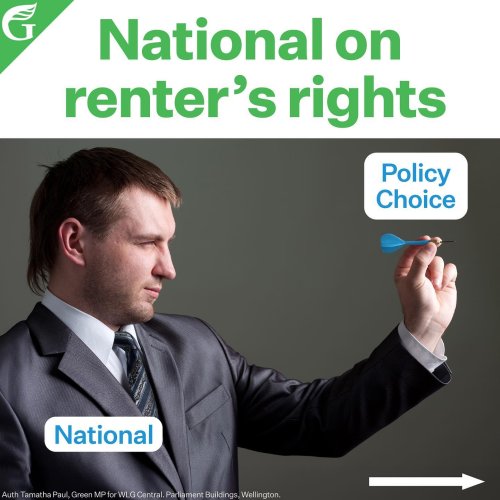 Carousel post from nzgreenparty.