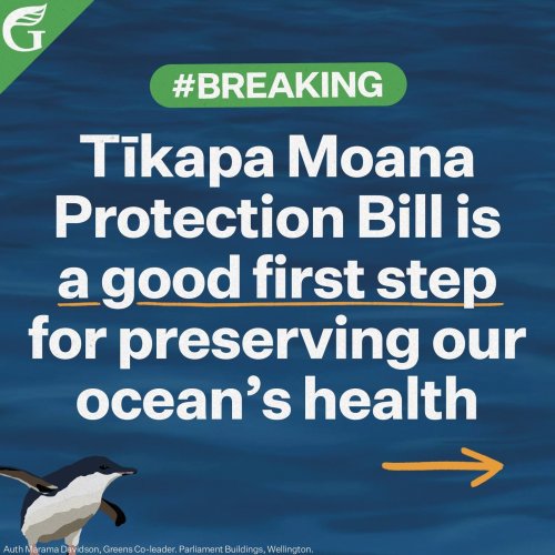 Carousel post from nzgreenparty.