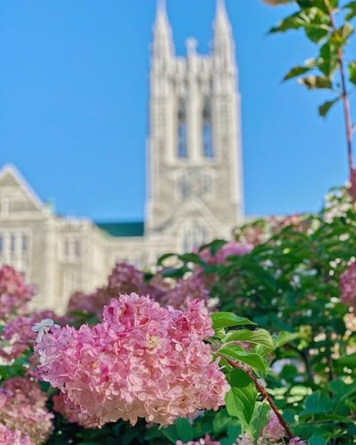 Photo post from bostoncollege.