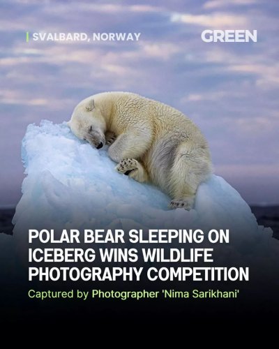 Photo post from explorgreen.