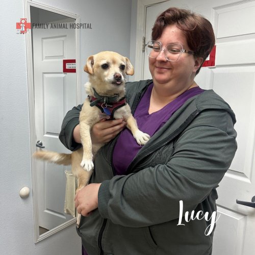 Carousel post from familyanimalhospitalcm.