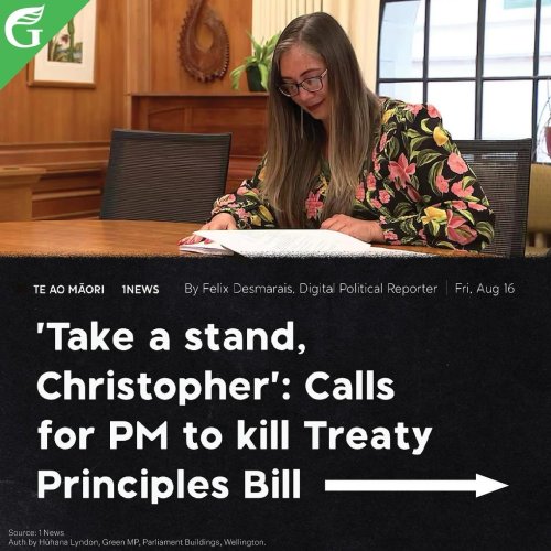 Carousel post from nzgreenparty.