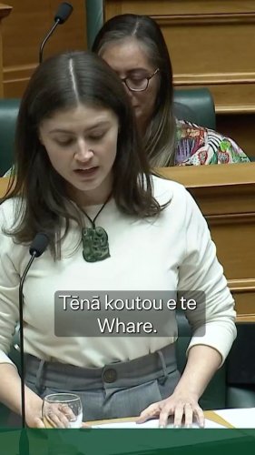 Video post from nzgreenparty.